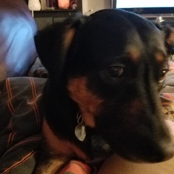 Meet your Posher, Jeanne - Picture 2 of 7